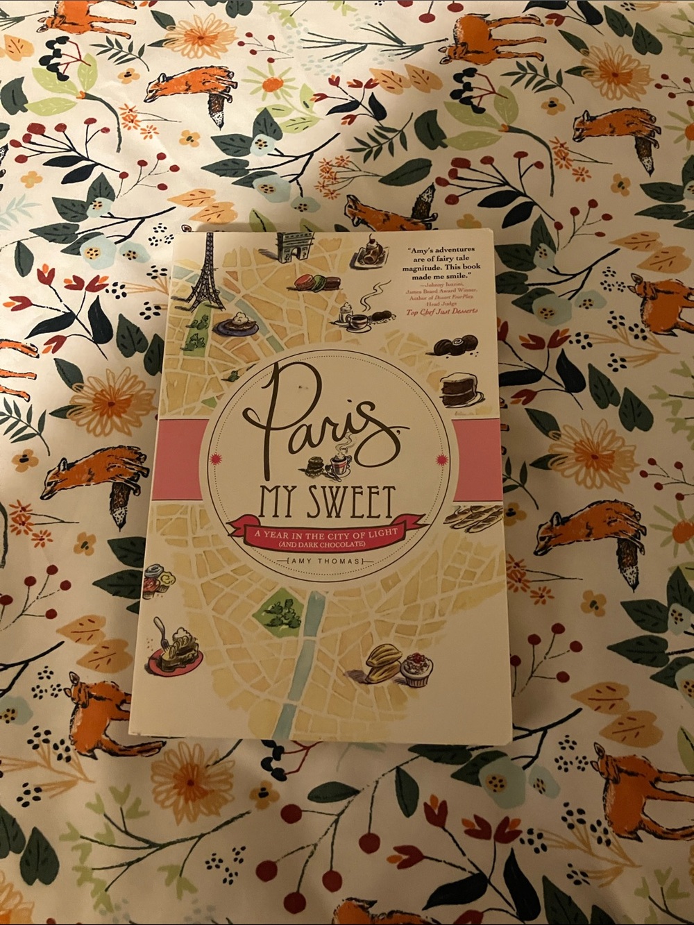 Paris, My Sweet: A Year in the City of Light & Dark Chocolate Book by Amy Thomas